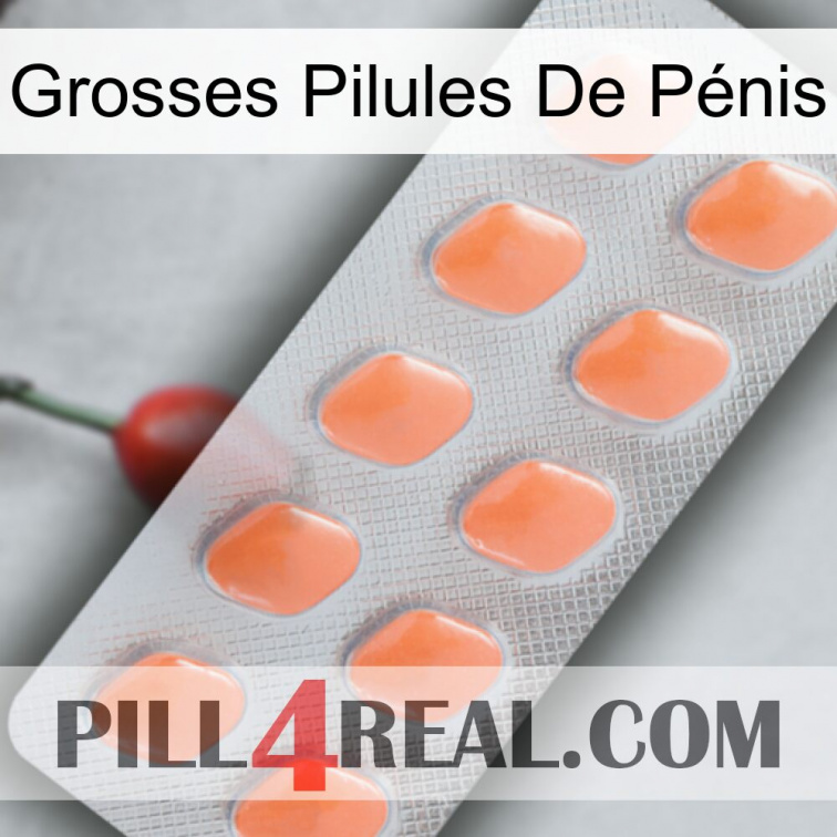 Grosses Pilules De Pénis 26